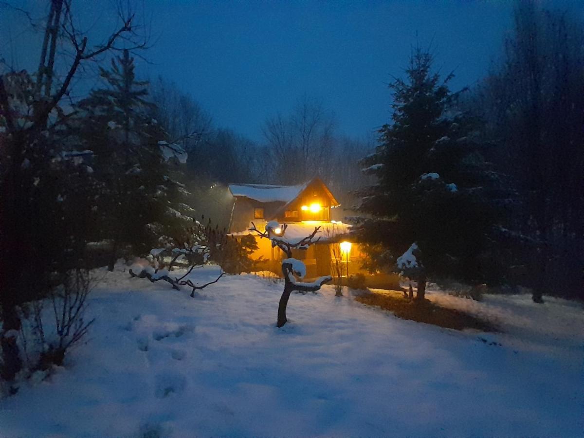 Cabana Din Padurea Valeni Валеній-де-Мунте Екстер'єр фото