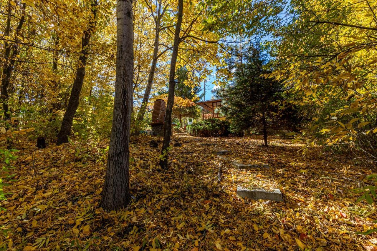 Cabana Din Padurea Valeni Валеній-де-Мунте Екстер'єр фото