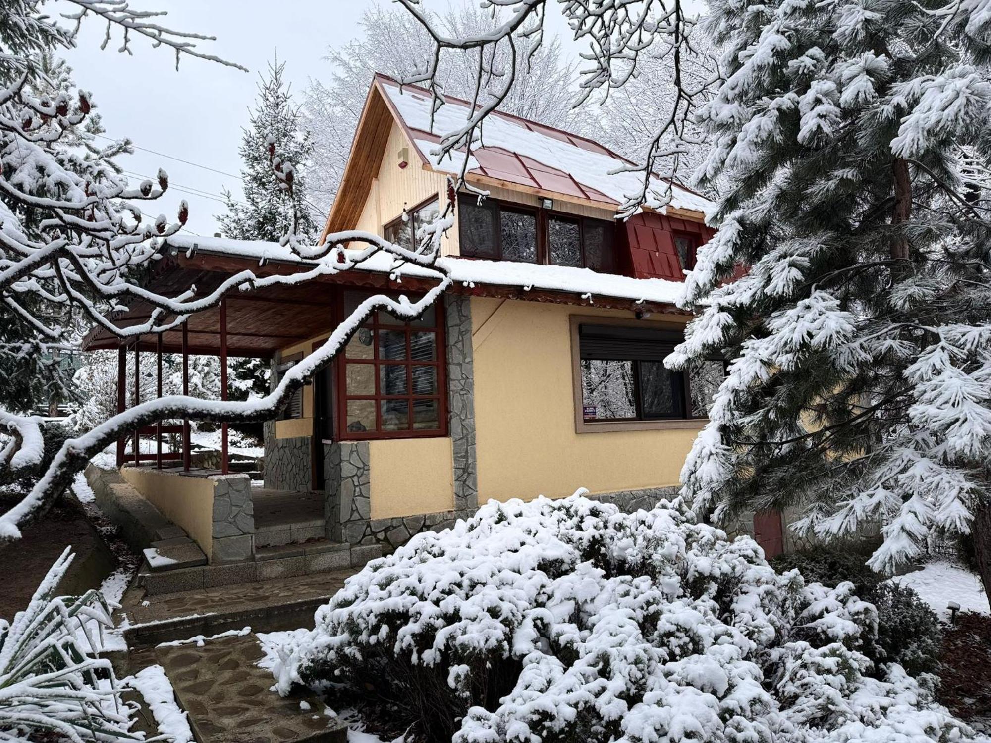 Cabana Din Padurea Valeni Валеній-де-Мунте Екстер'єр фото