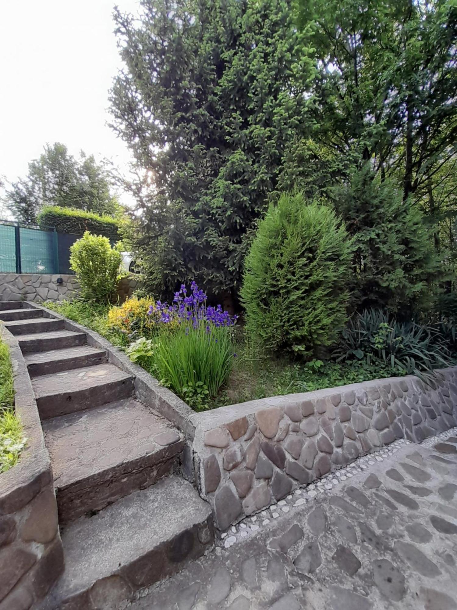Cabana Din Padurea Valeni Валеній-де-Мунте Екстер'єр фото