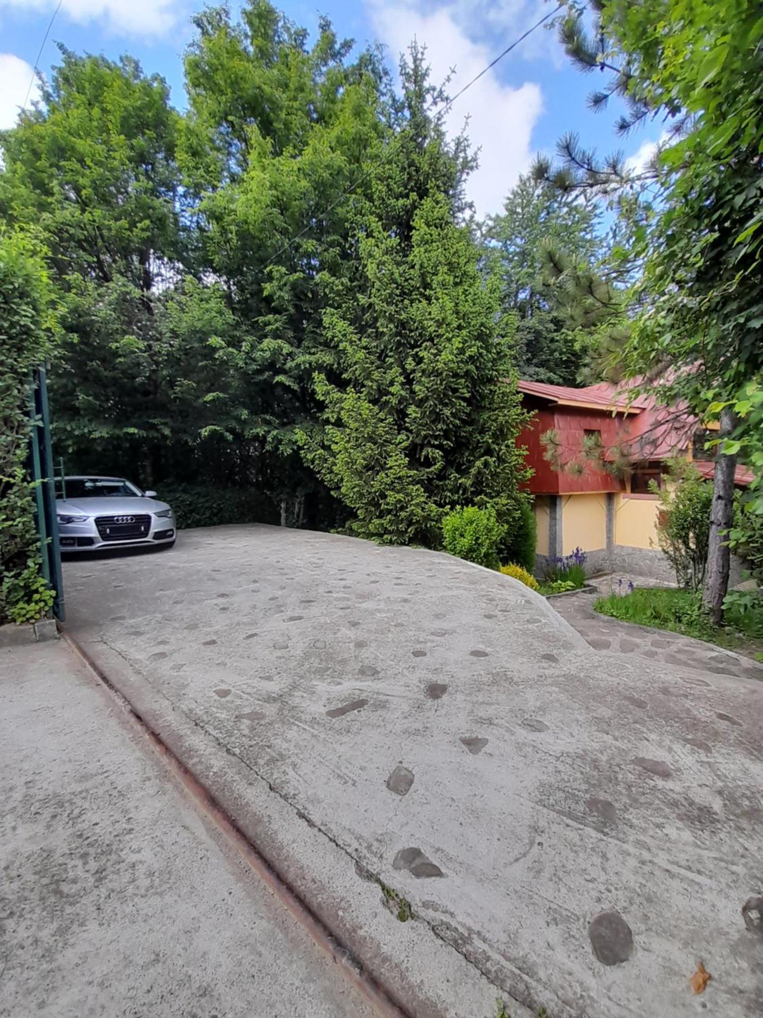 Cabana Din Padurea Valeni Валеній-де-Мунте Екстер'єр фото